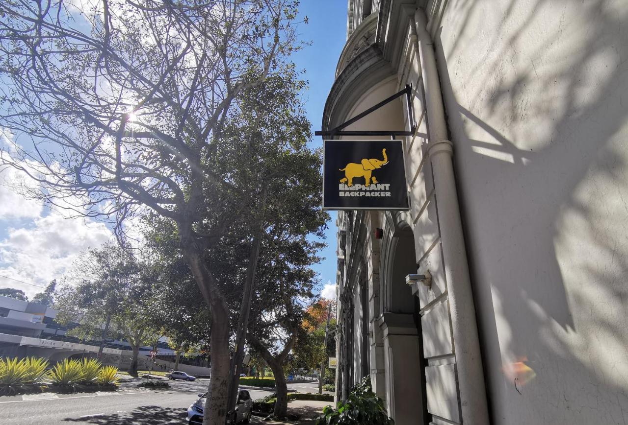 Elephant Backpacker Sydney Exterior foto